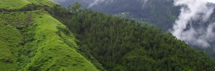 mashobra-treak